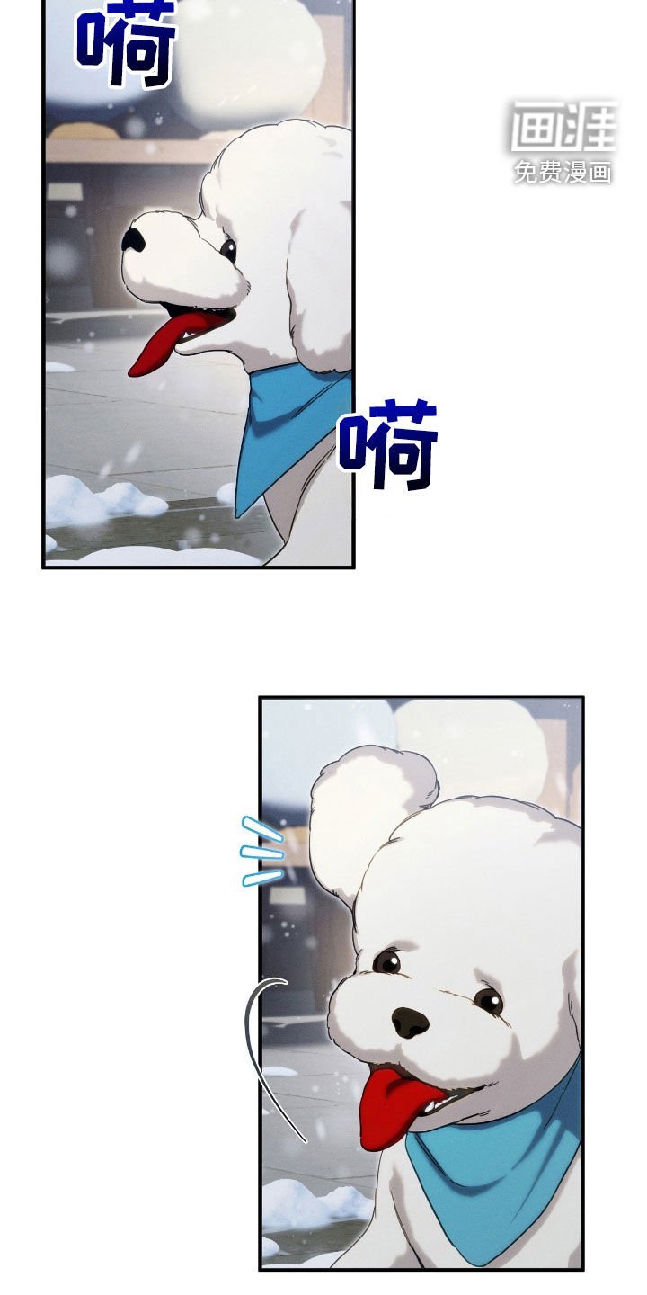 第111章：小狗
