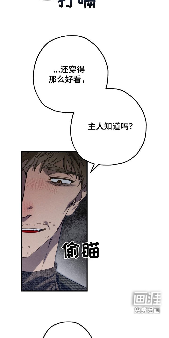 第115章：冒犯