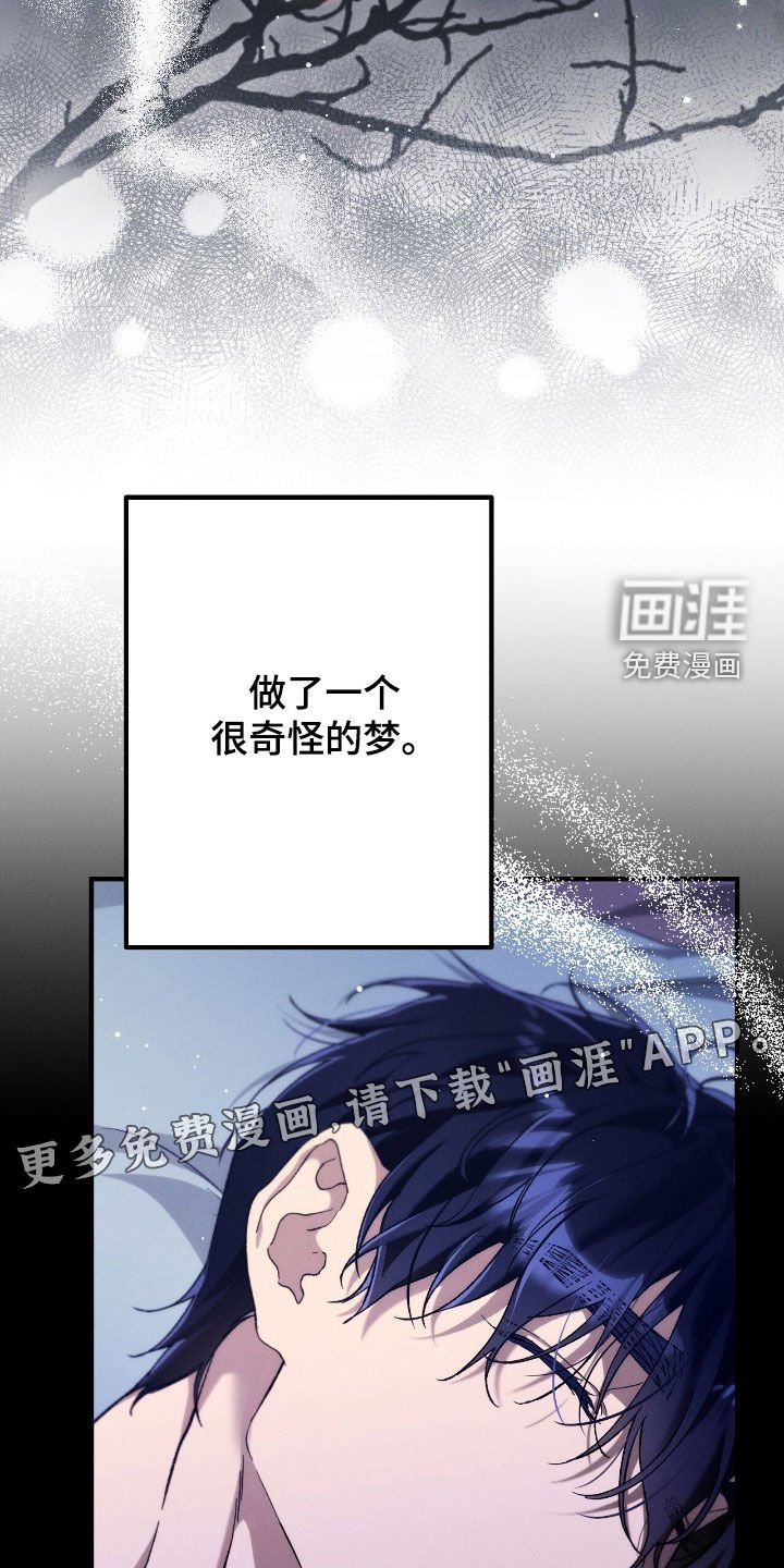 第128章：不会再爱你