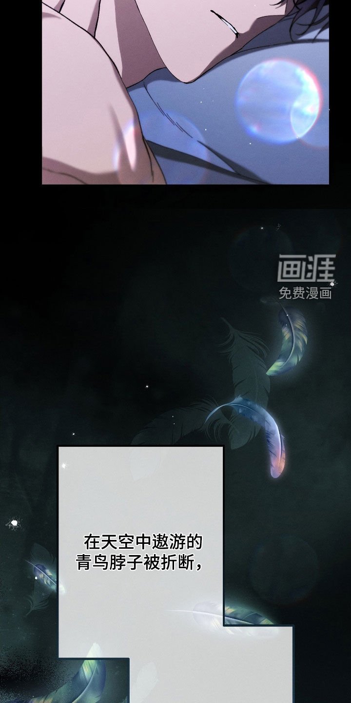 第128章：不会再爱你