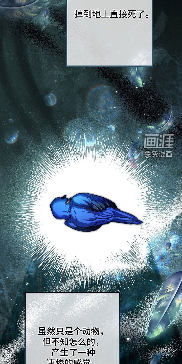 第128章：不会再爱你