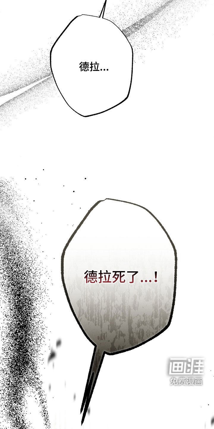 第133章：德拉之死