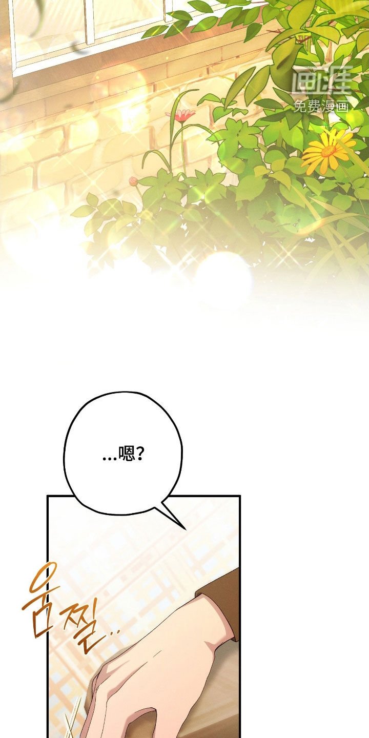 第134章：诅咒解除