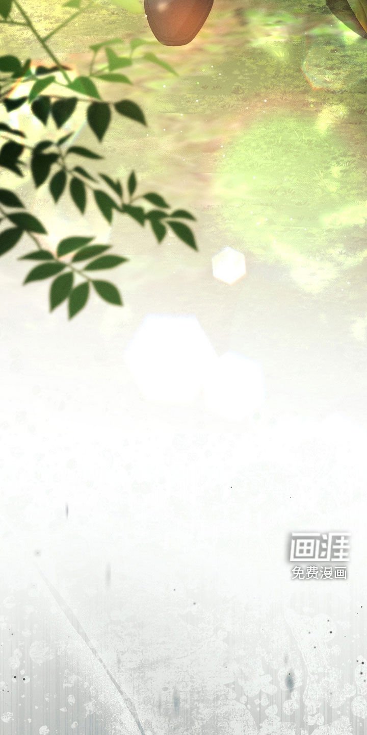 第136章：没有记忆