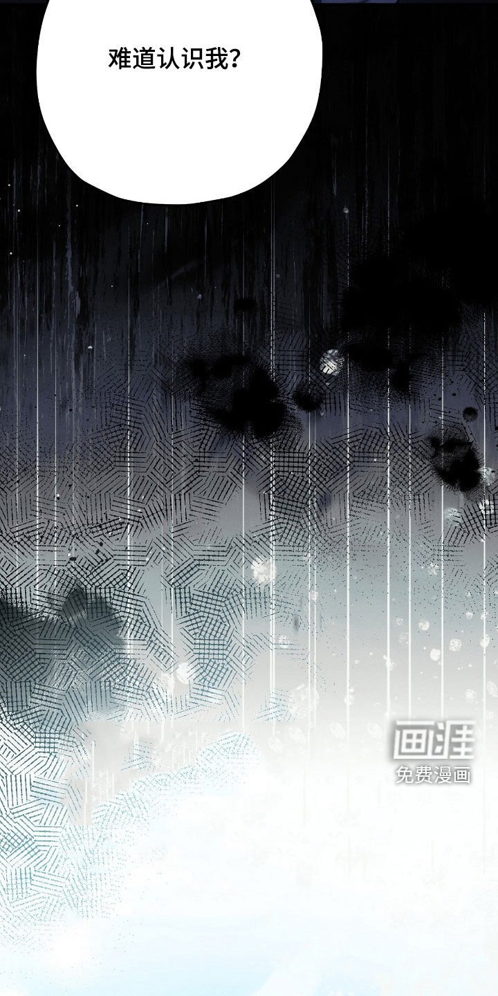 第136章：没有记忆