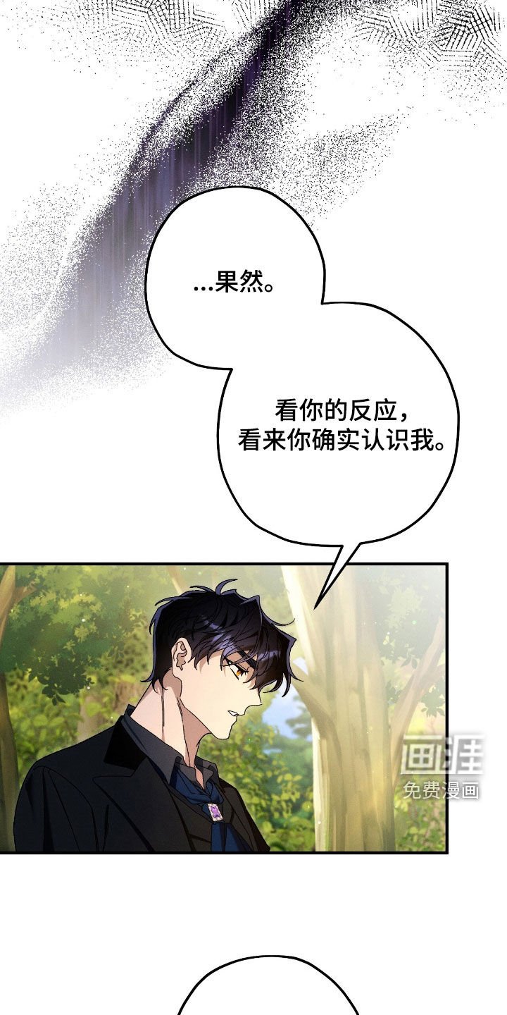 第136章：没有记忆