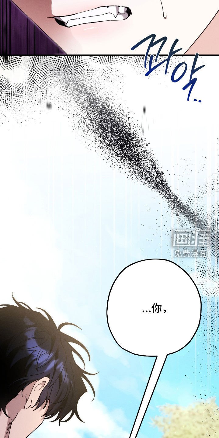 第136章：没有记忆