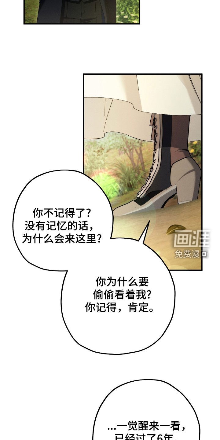 第136章：没有记忆