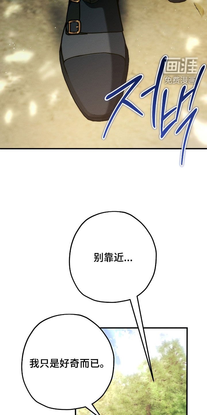 第137章：一个月