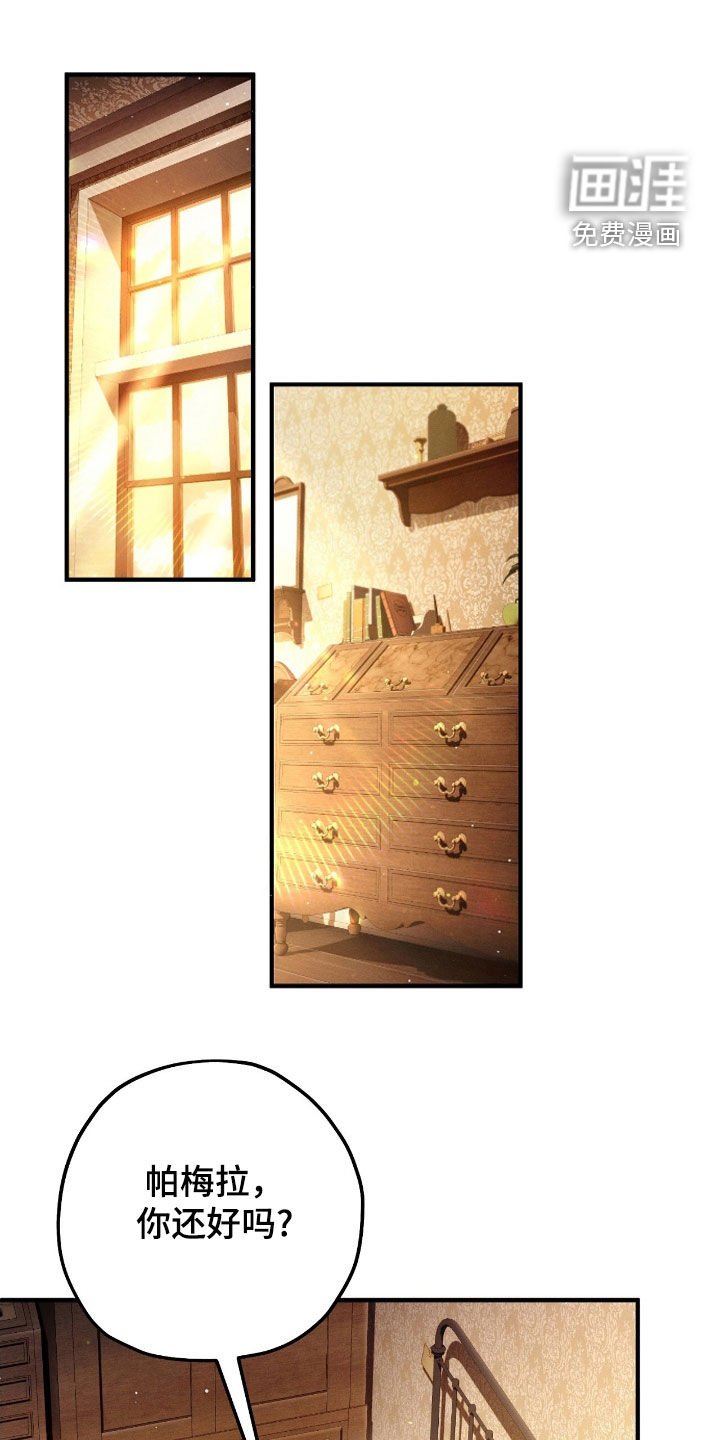 第146章：庆典