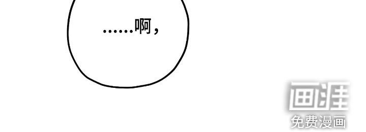第146章：庆典