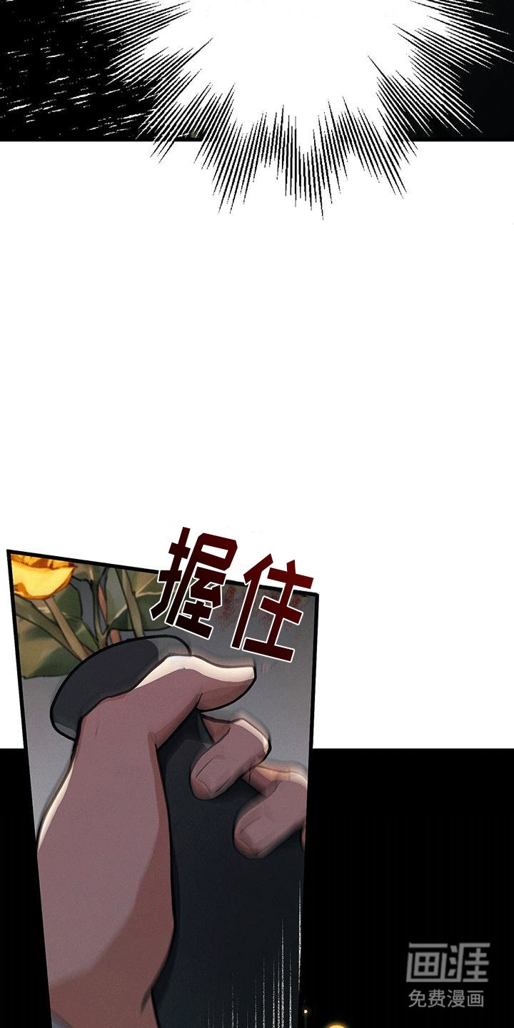 第15章：哥哥生气