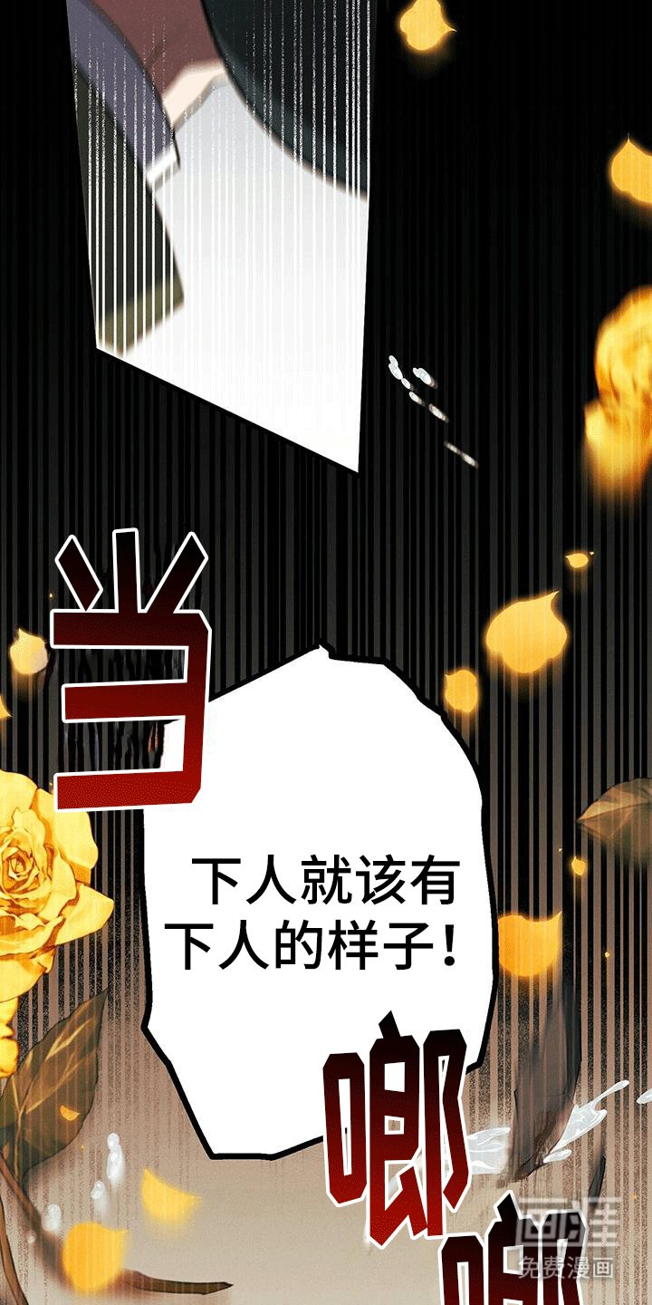 第15章：哥哥生气