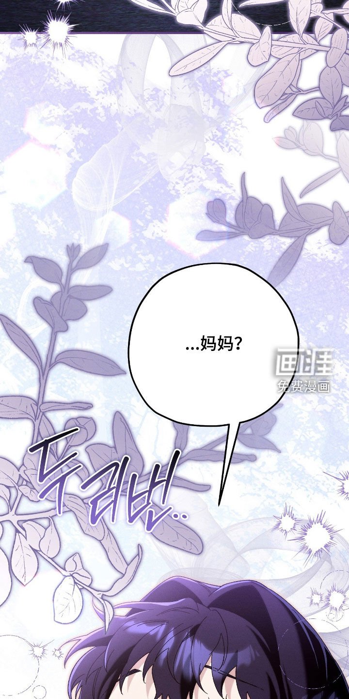 第154章：精灵
