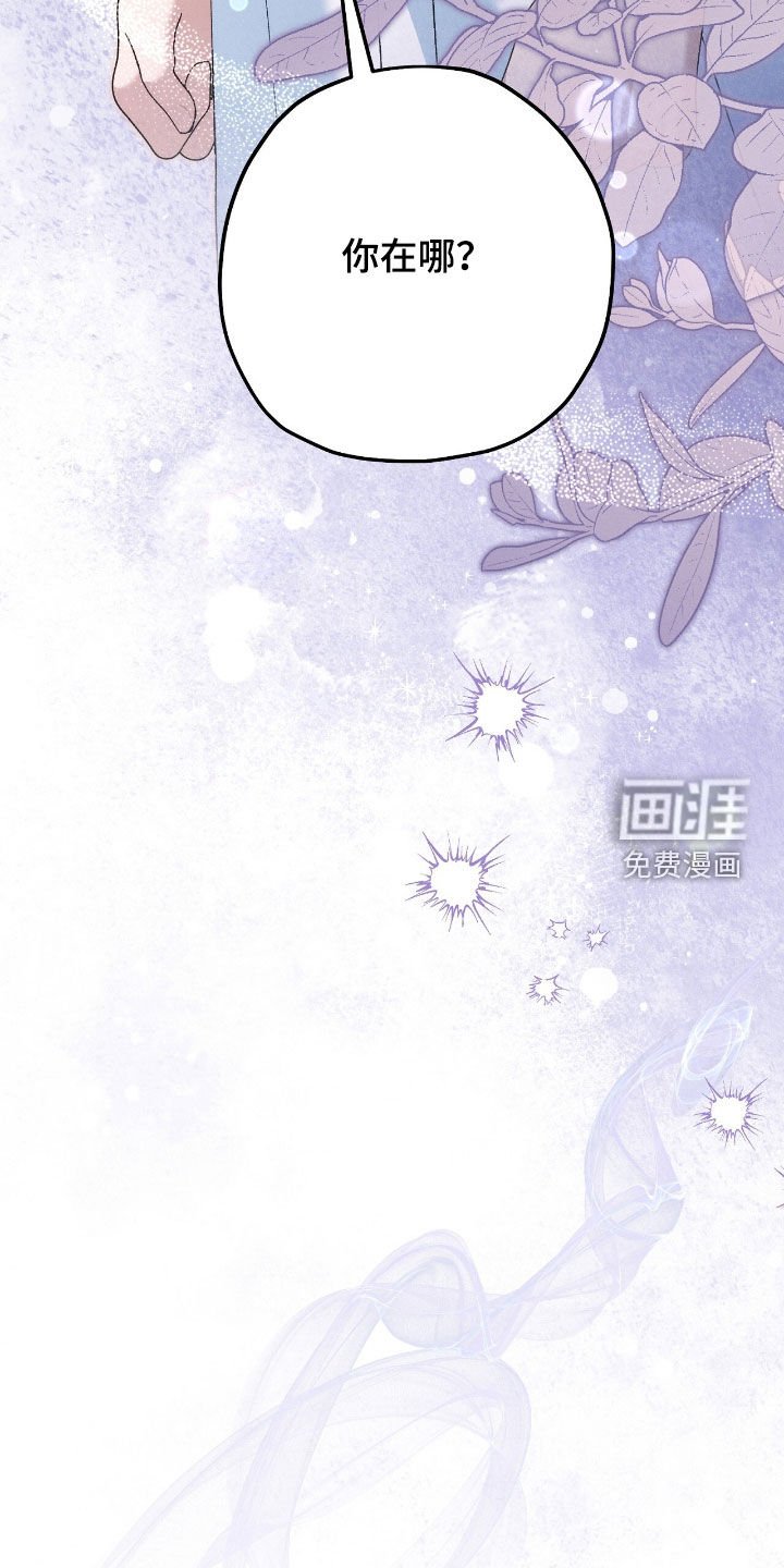 第154章：精灵