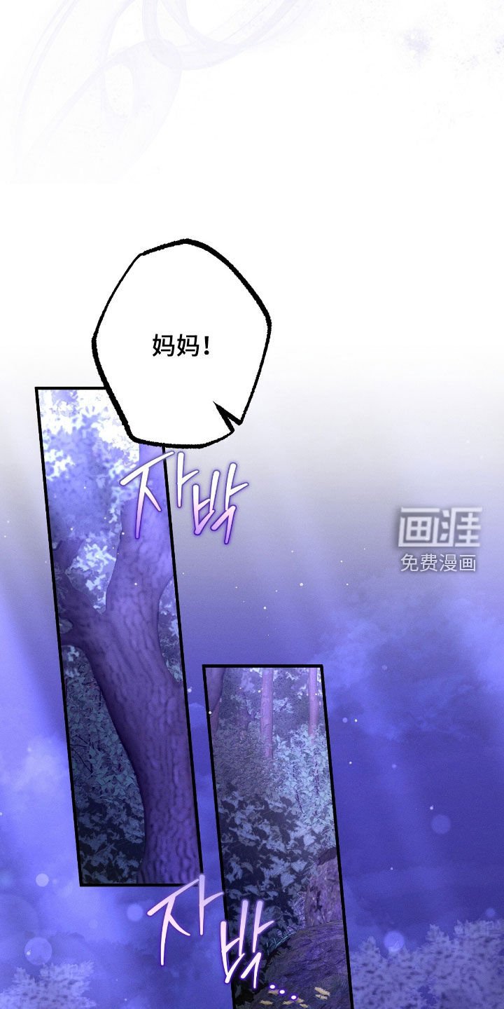 第154章：精灵