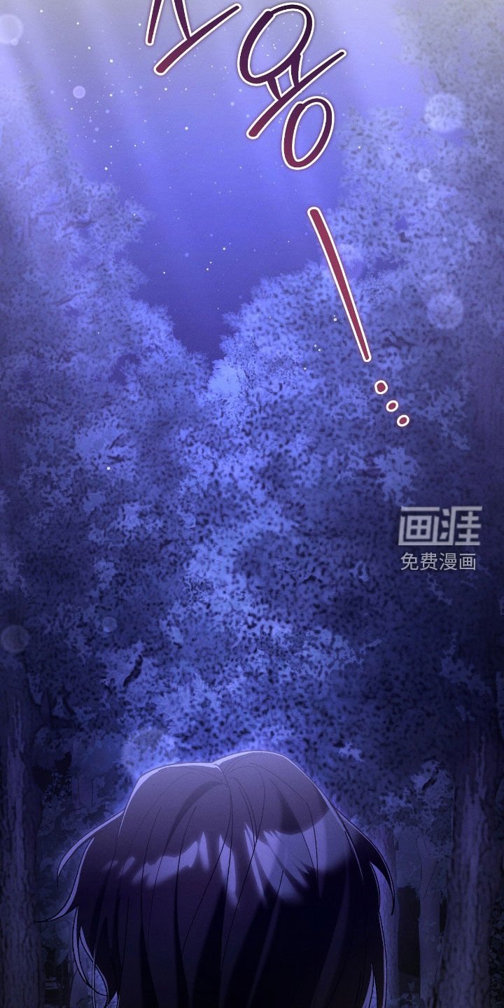第154章：精灵
