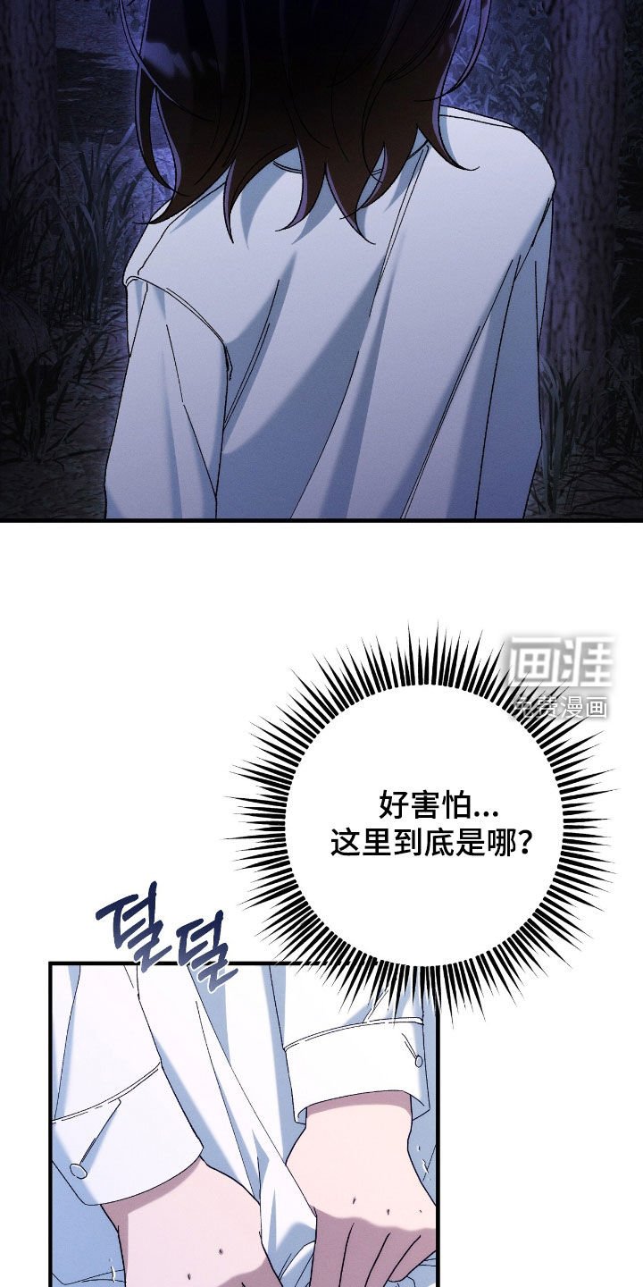 第154章：精灵