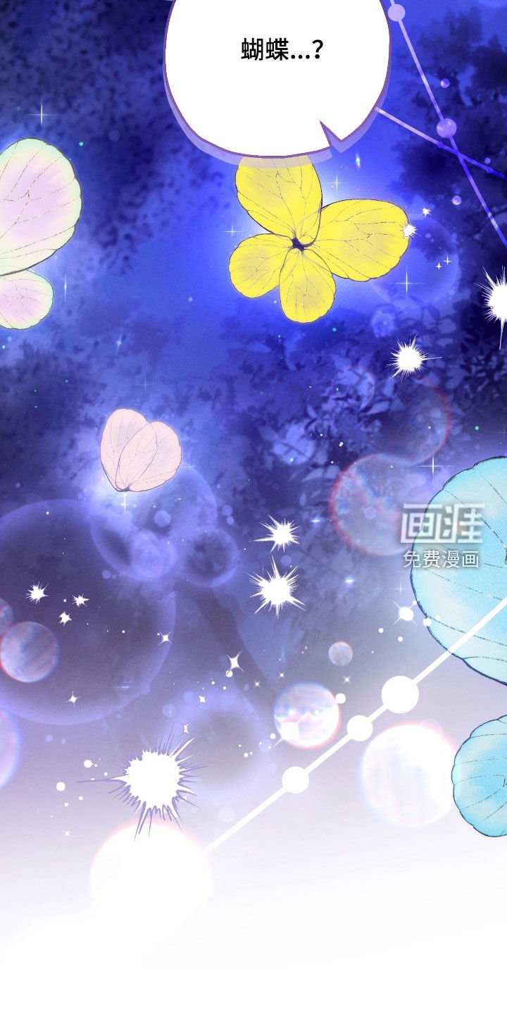 第154章：精灵