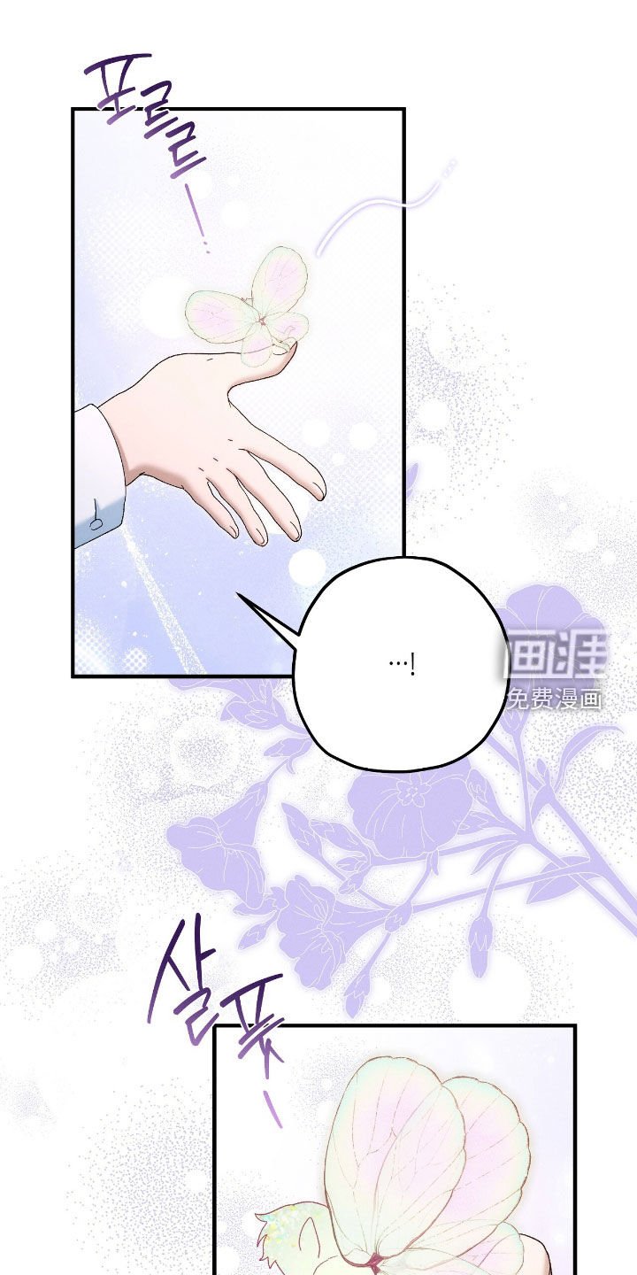 第154章：精灵