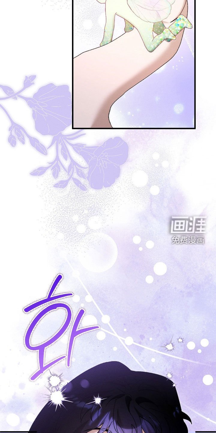 第154章：精灵