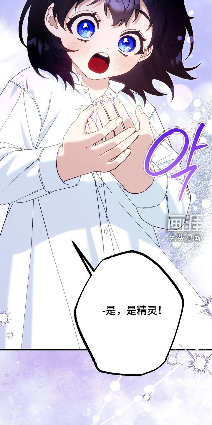 第154章：精灵