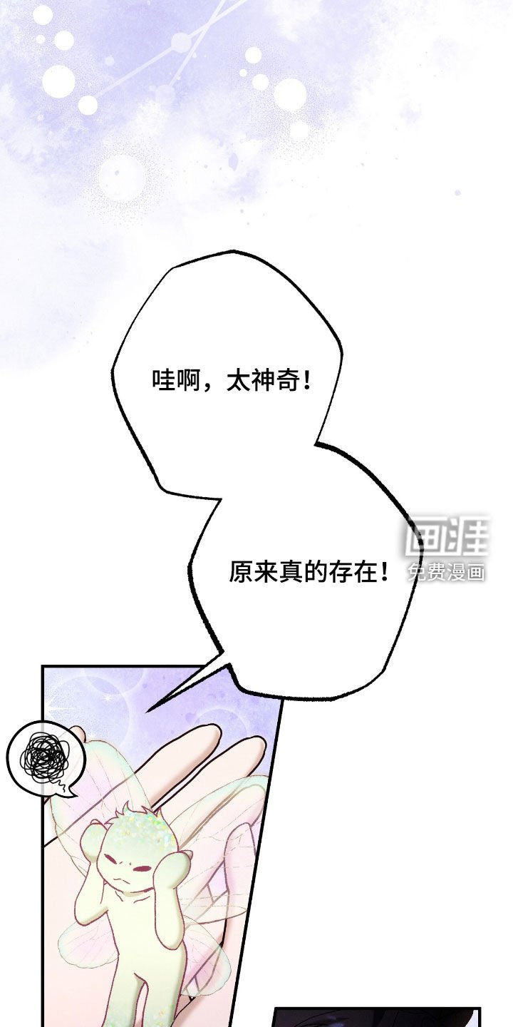 第154章：精灵