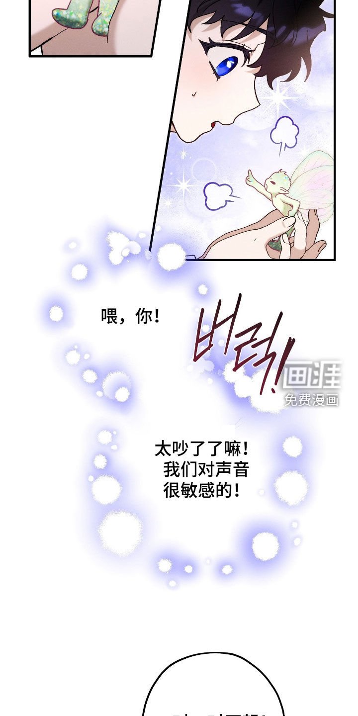 第154章：精灵