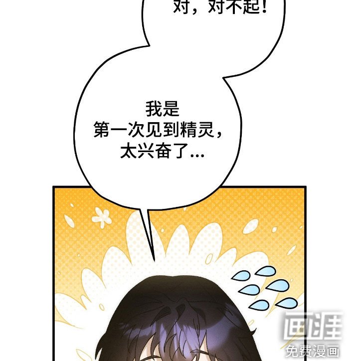第154章：精灵