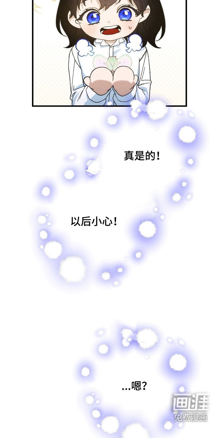 第154章：精灵