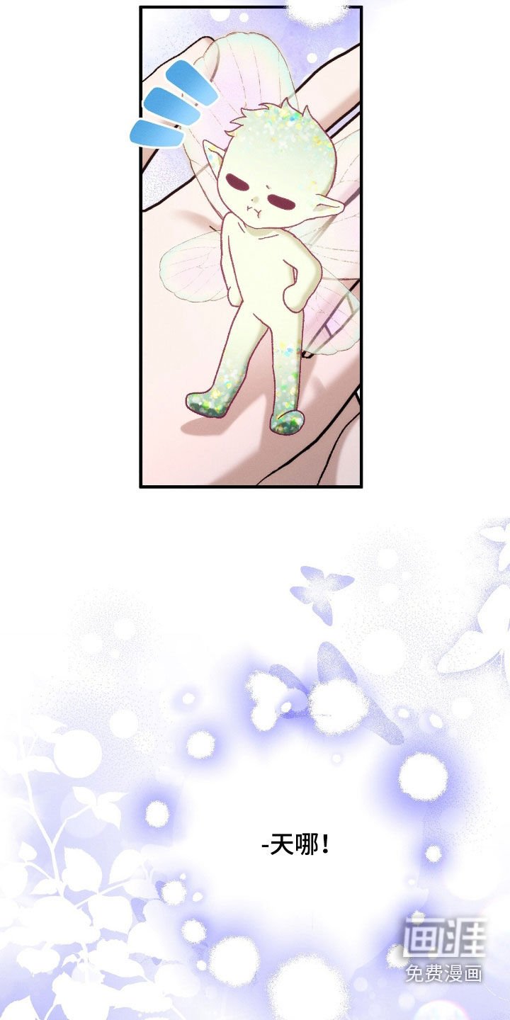 第154章：精灵