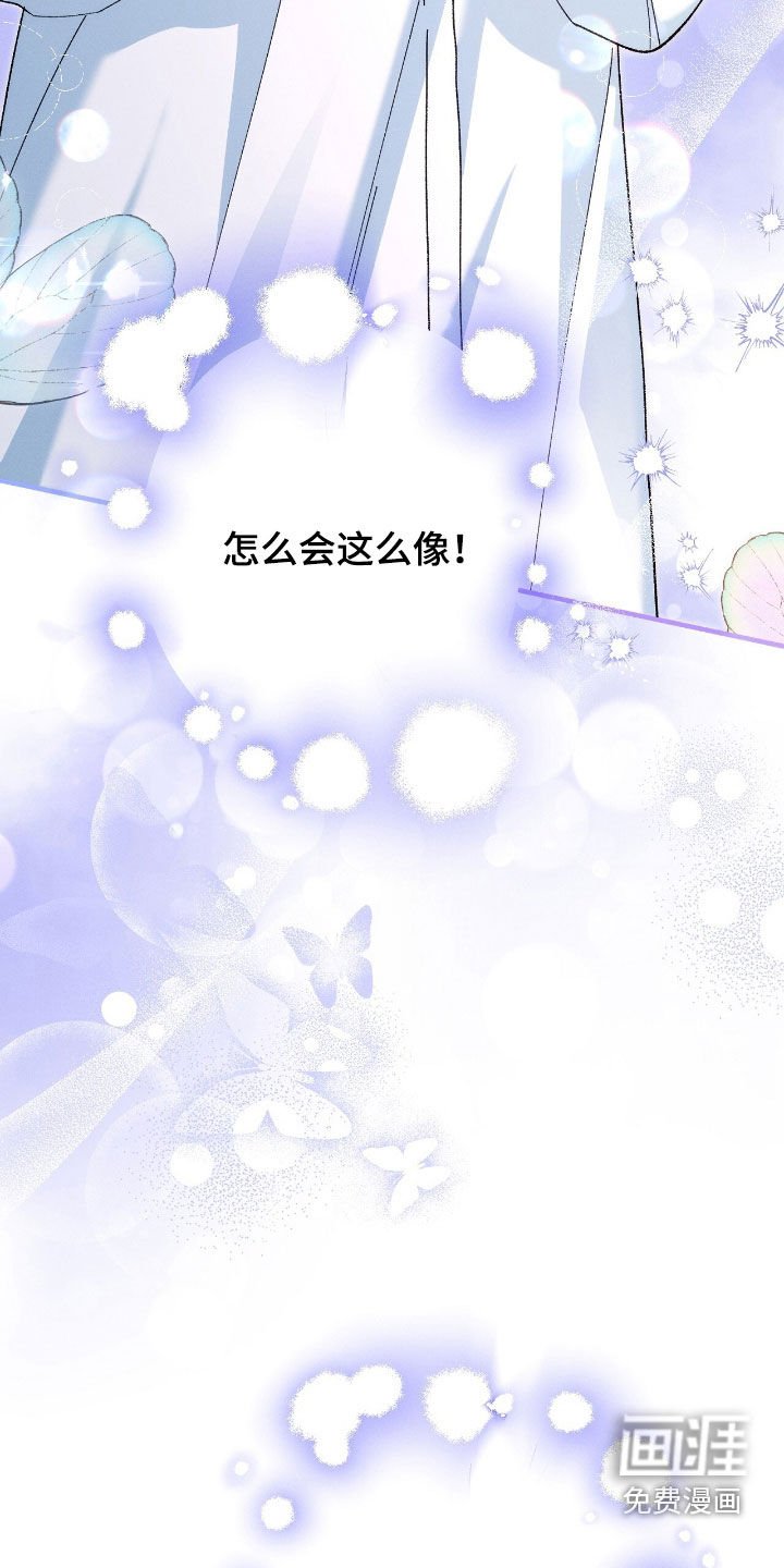 第154章：精灵