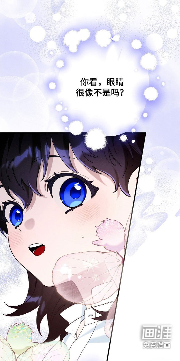 第154章：精灵