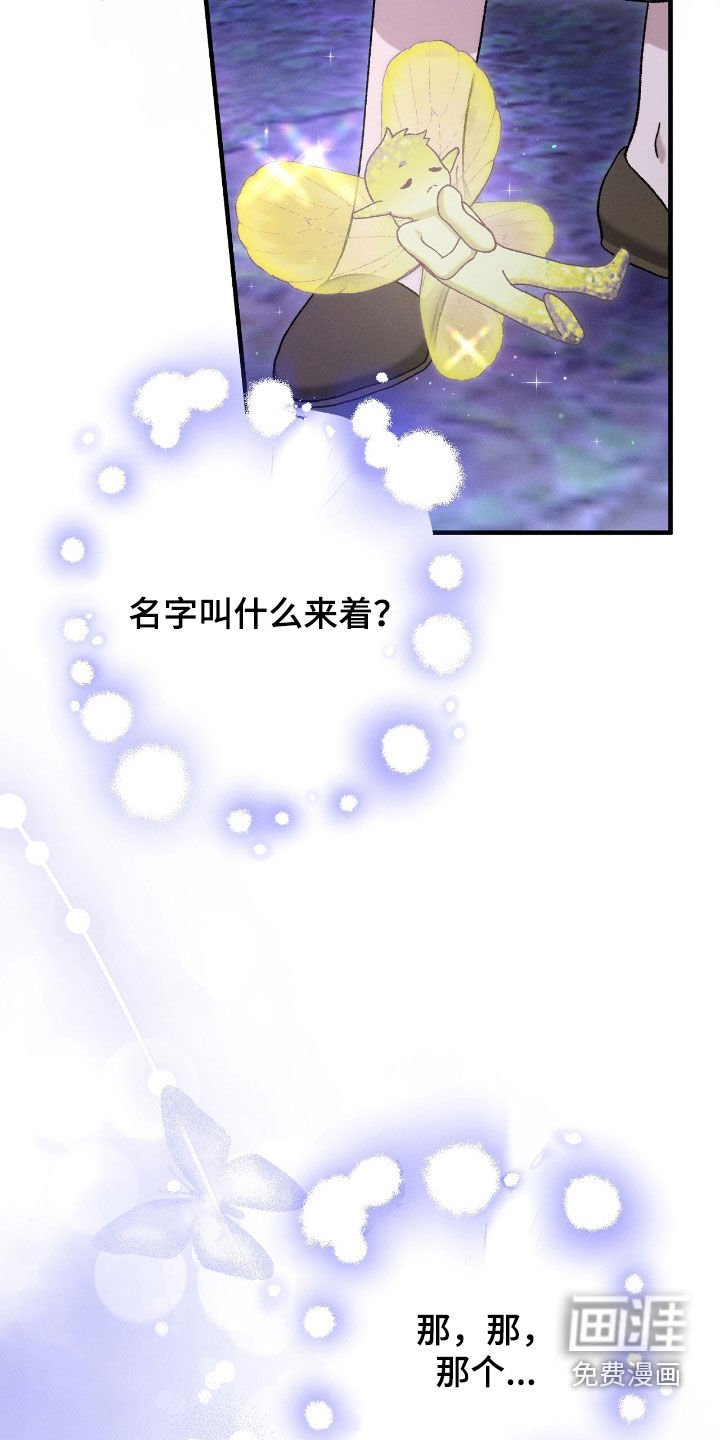 第154章：精灵