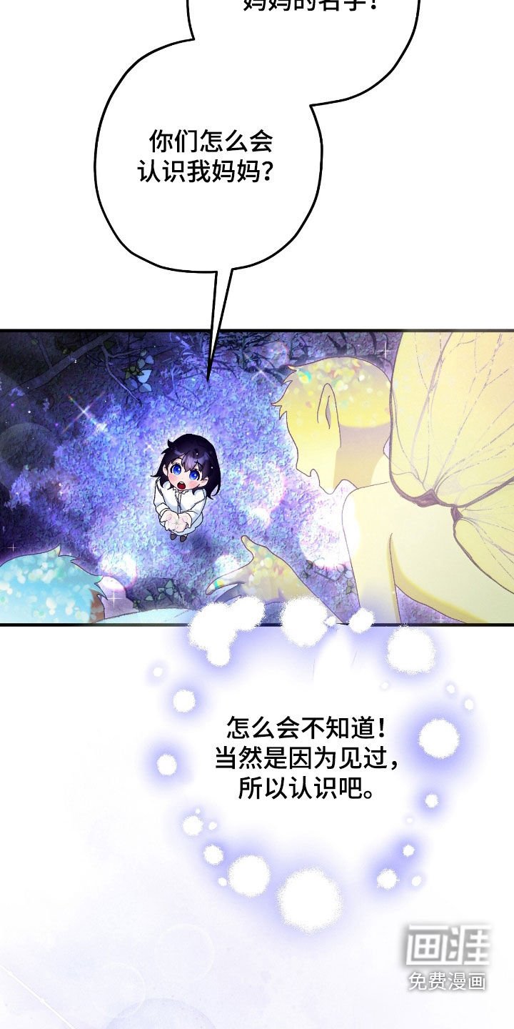 第154章：精灵