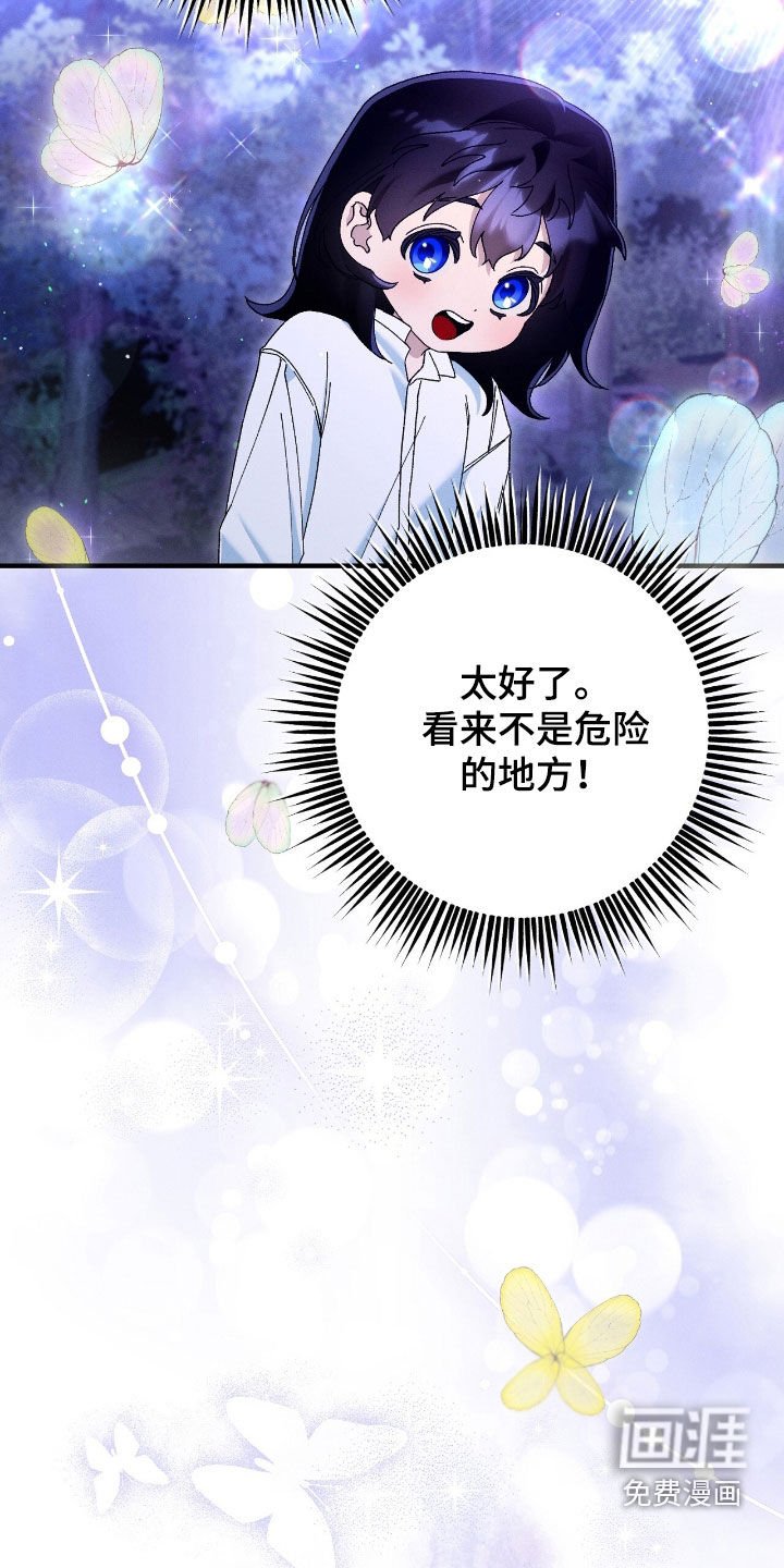 第154章：精灵
