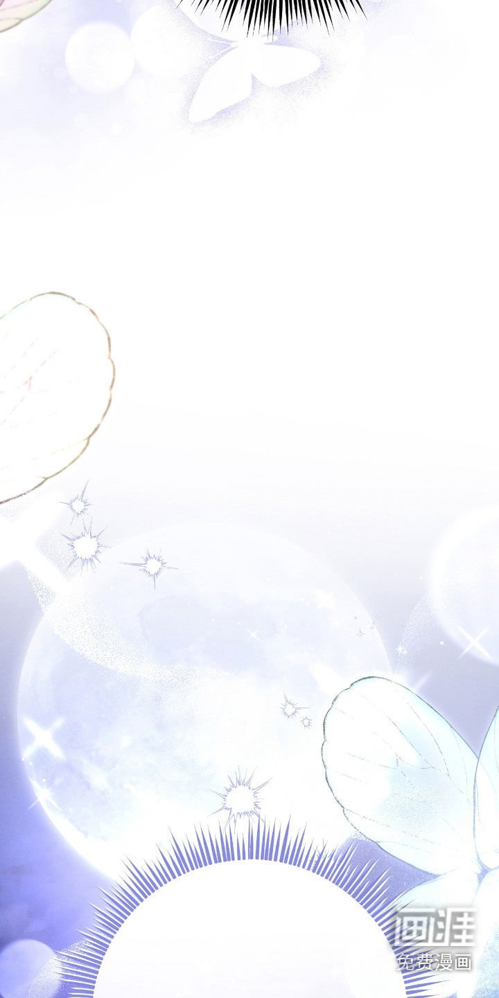 第154章：精灵