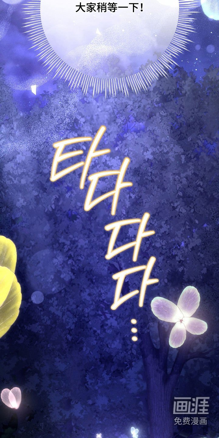 第154章：精灵