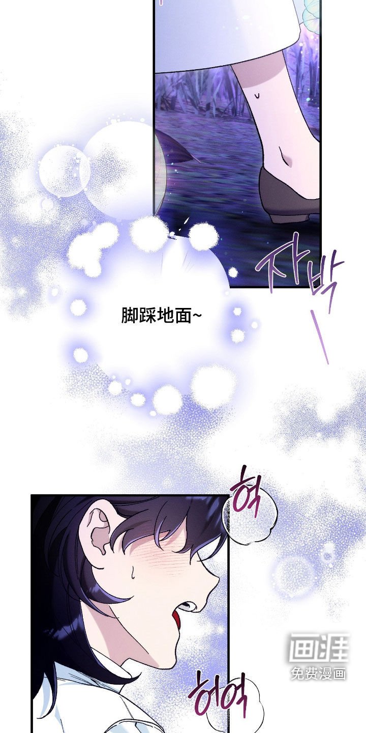 第156章：回家的路