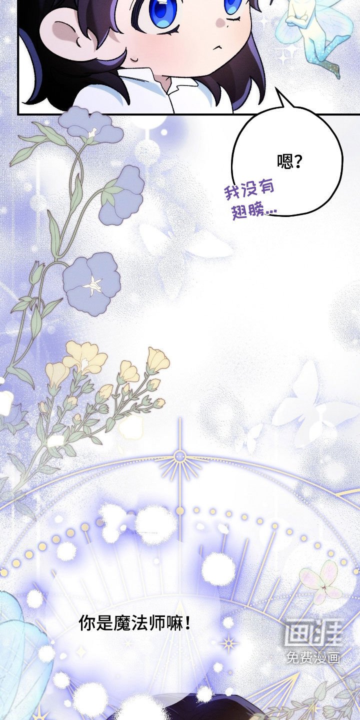 第156章：回家的路