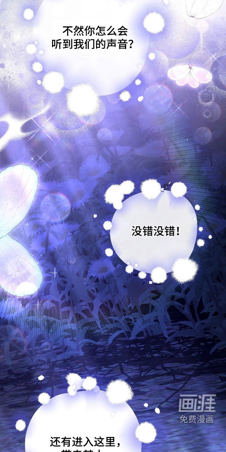第156章：回家的路