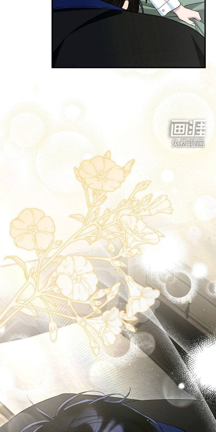 第159章：昏迷不醒