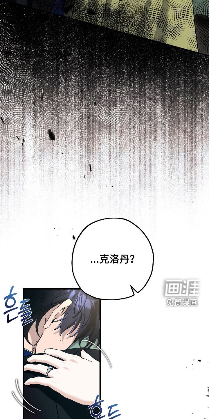 第159章：昏迷不醒