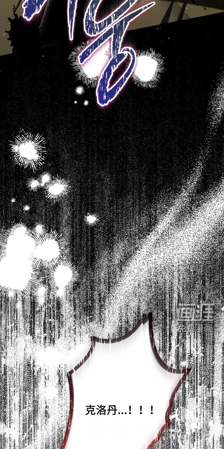 第159章：昏迷不醒