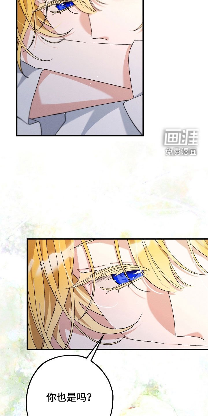 第161章：出事了