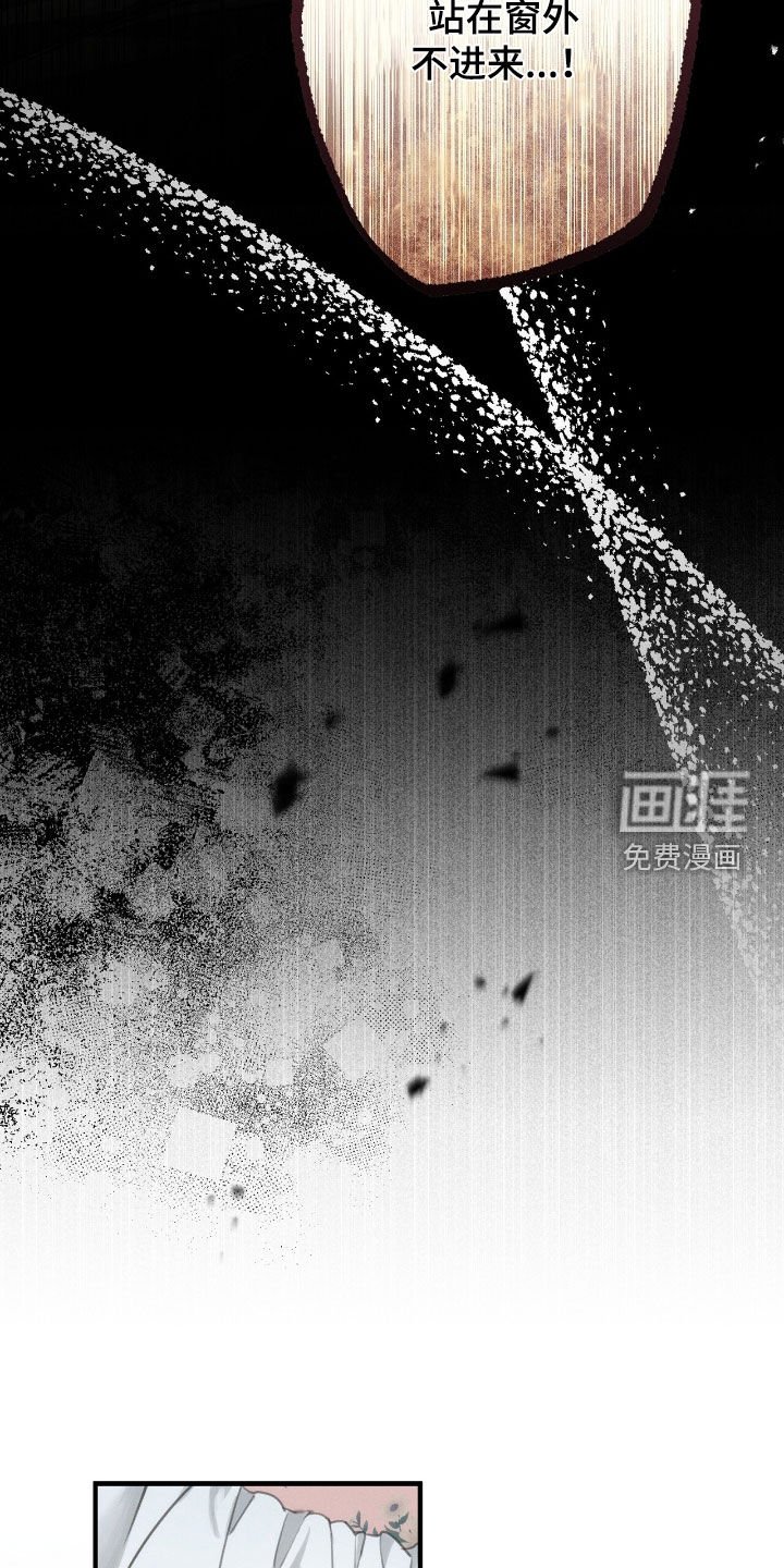 第161章：出事了
