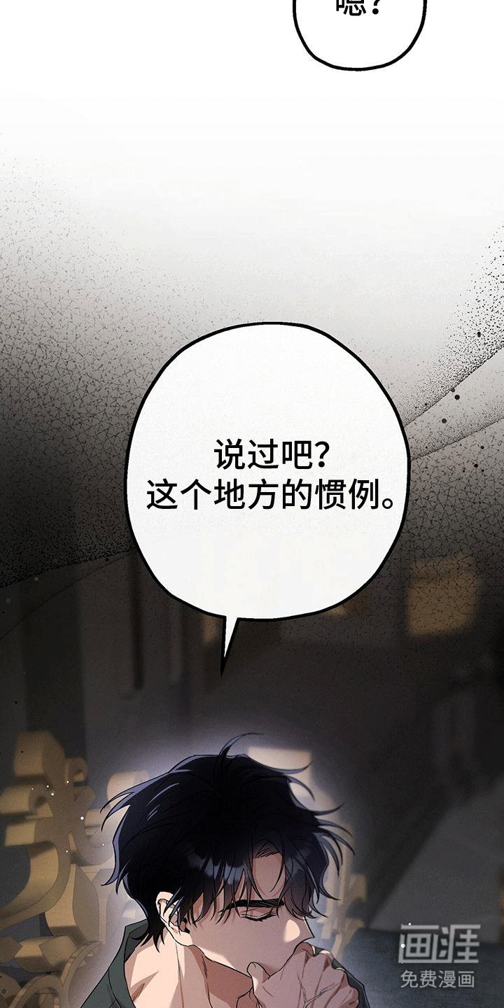 第17章：惯例