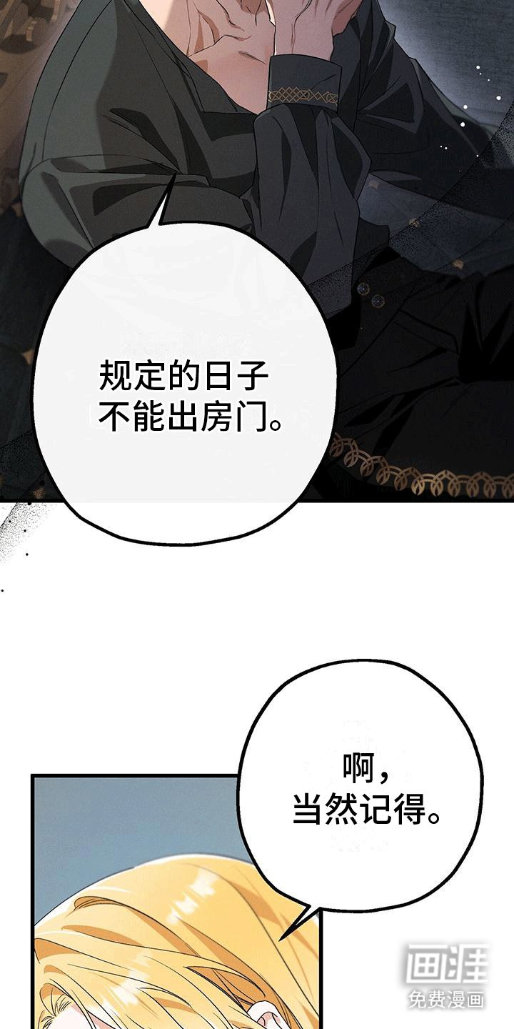 第17章：惯例