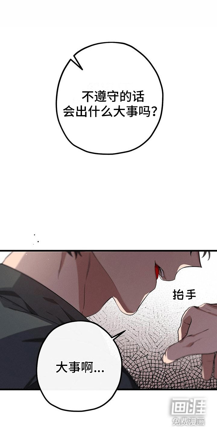 第17章：惯例