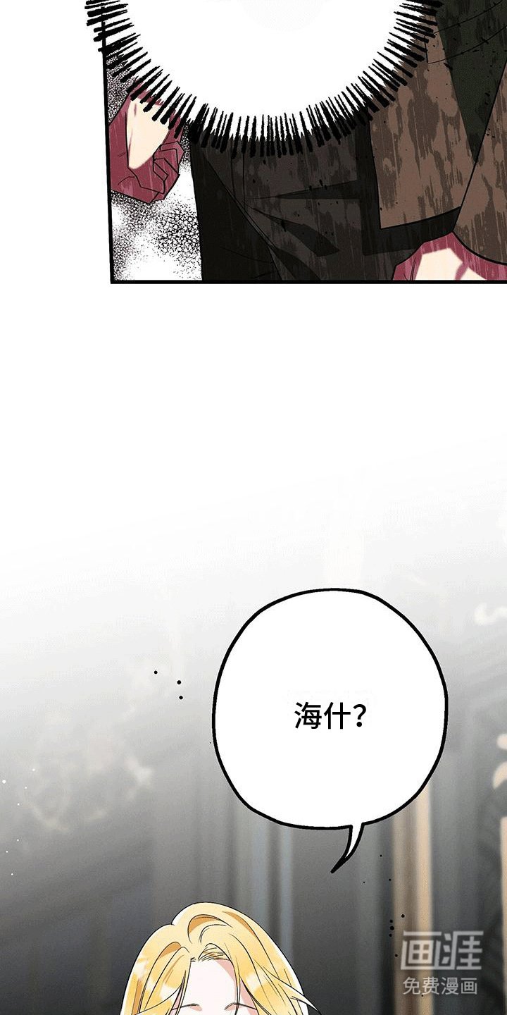 第17章：惯例